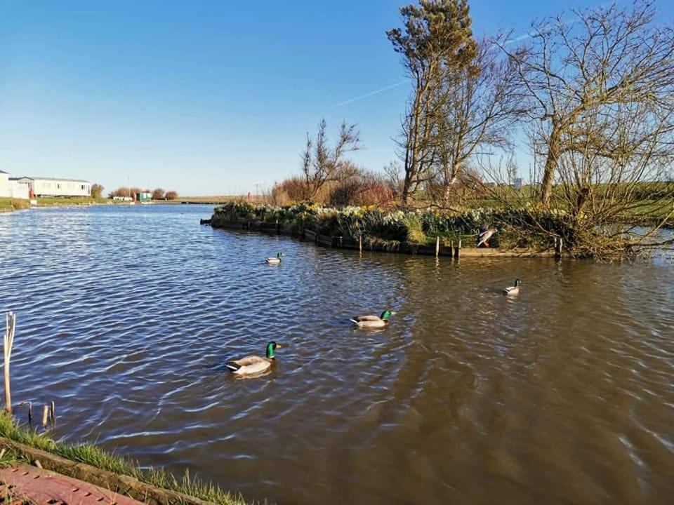 Sand Le Mere Holiday Village Caravan Hire Tunstall  Exteriör bild